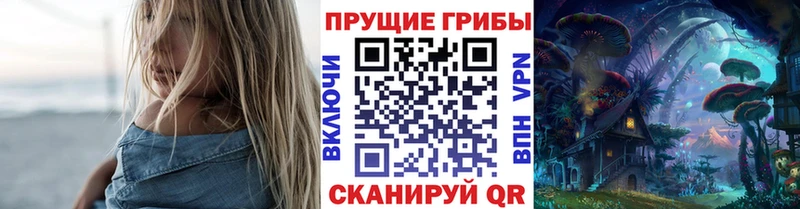 Купить где  Губаха  Псилоцибиновые грибы GOLDEN TEACHER 